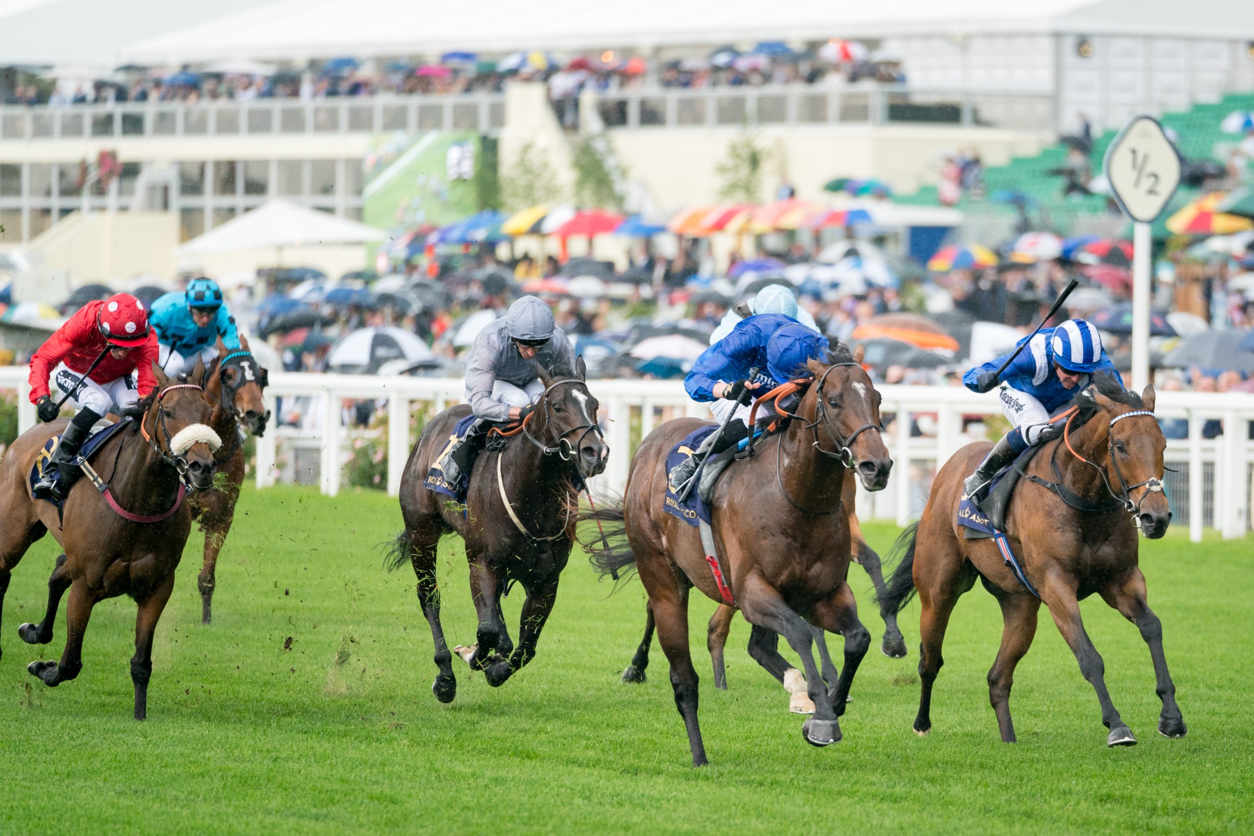 Free Horse Racing Tips and Trends: Sat 20th Sept 2025