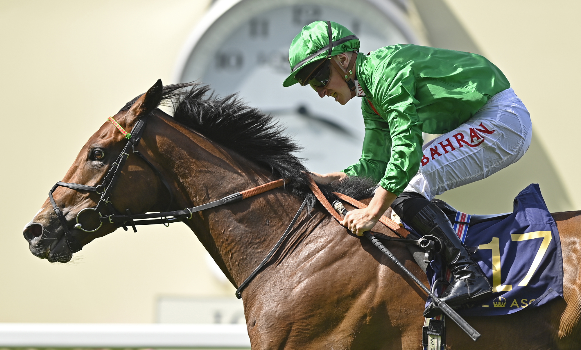 Free Horse Racing Tips and Trends: Sat 4th Oct 2025