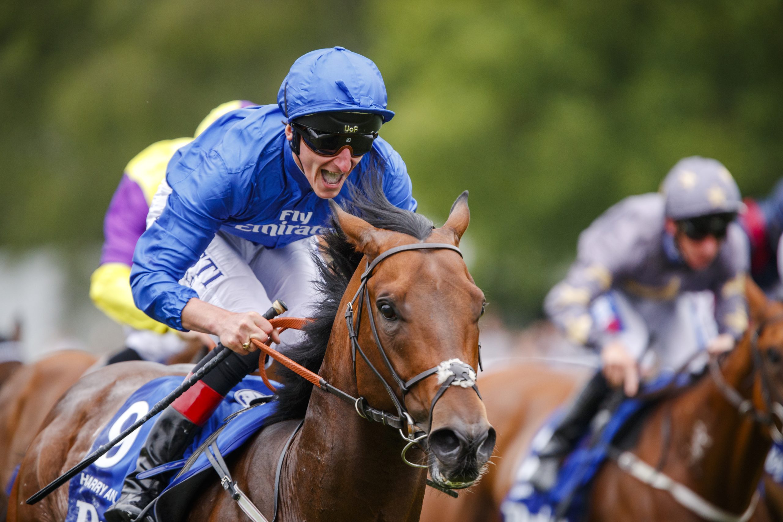 Free Horse Racing Tips and Trends: Sat 11th Oct 2025