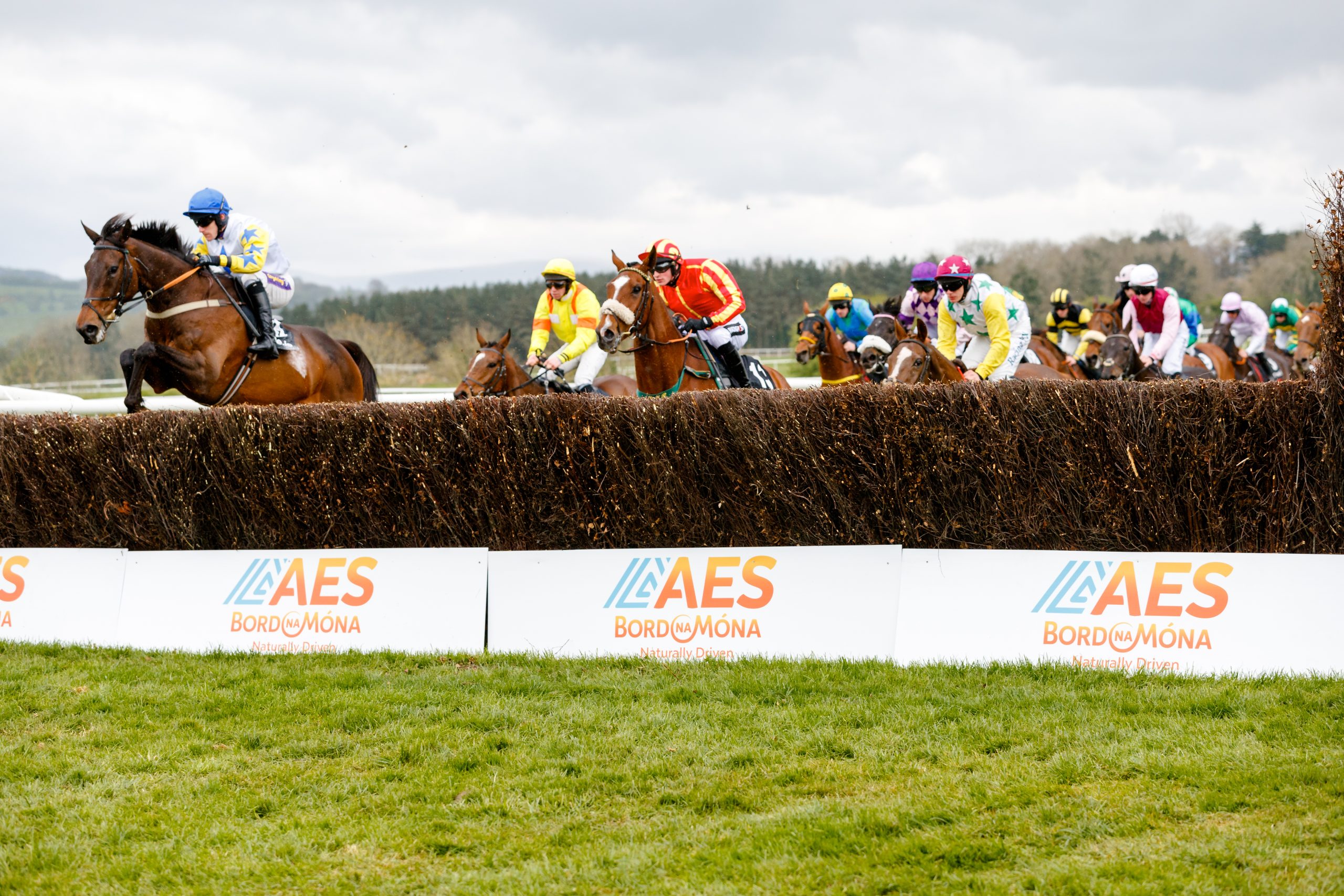 Free Horse Racing Tips and Trends: Sat 14th Feb 2026