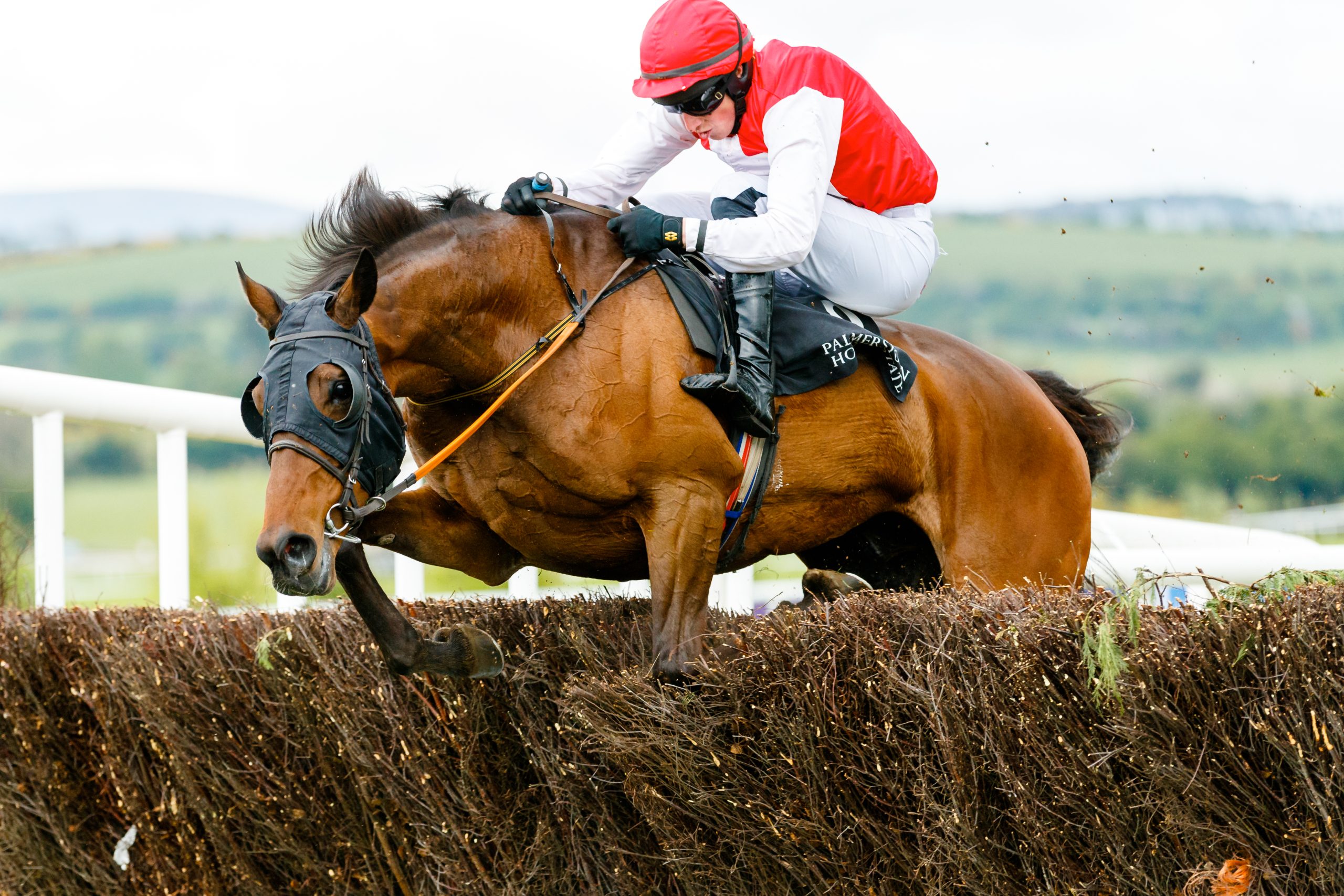 Free Horse Racing Tips and Trends: Thursday 1st Jan 2026