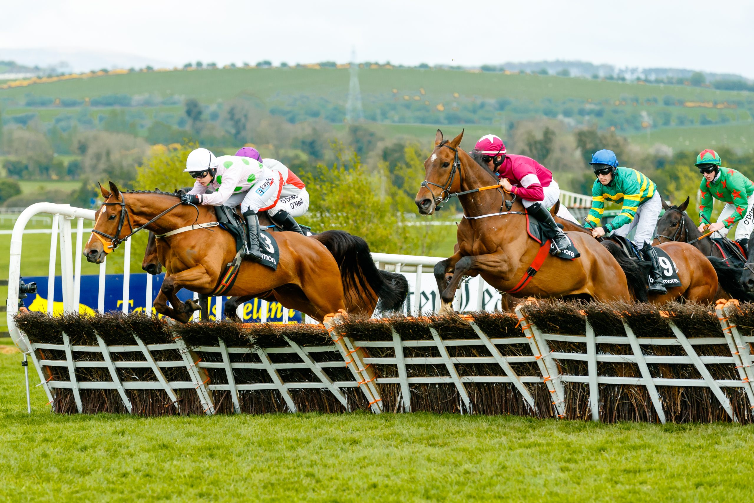 Free Horse Racing Tips and Trends: Sat 13th Dec 2025