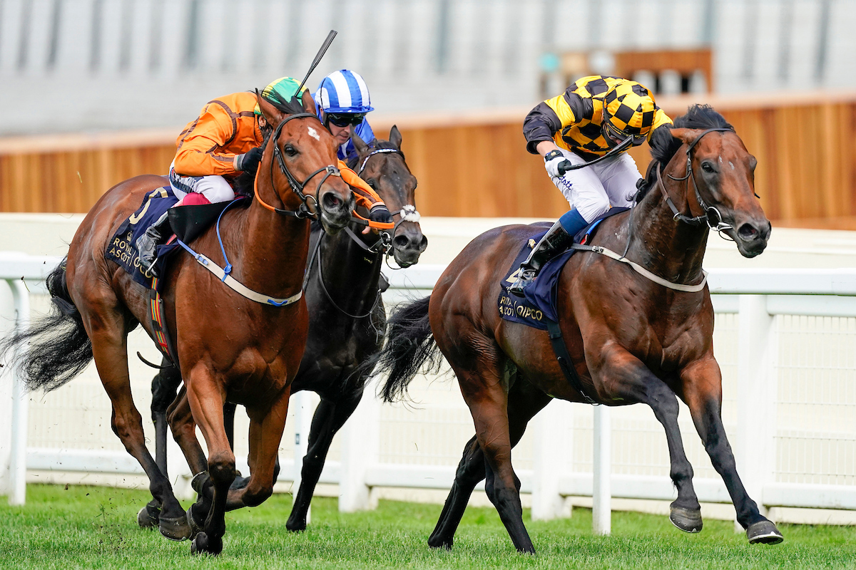 Royal Ascot Free Horse Racing Tips and Trends: Sat 20th June 2026