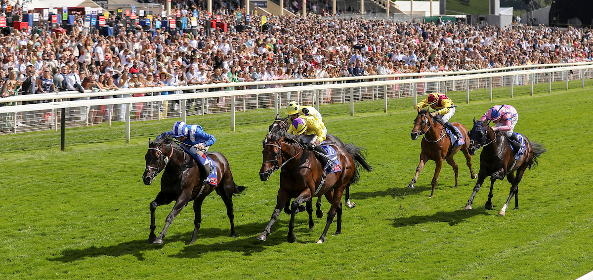 Free Horse Racing Tips and Trends: Sat 13th June 2026